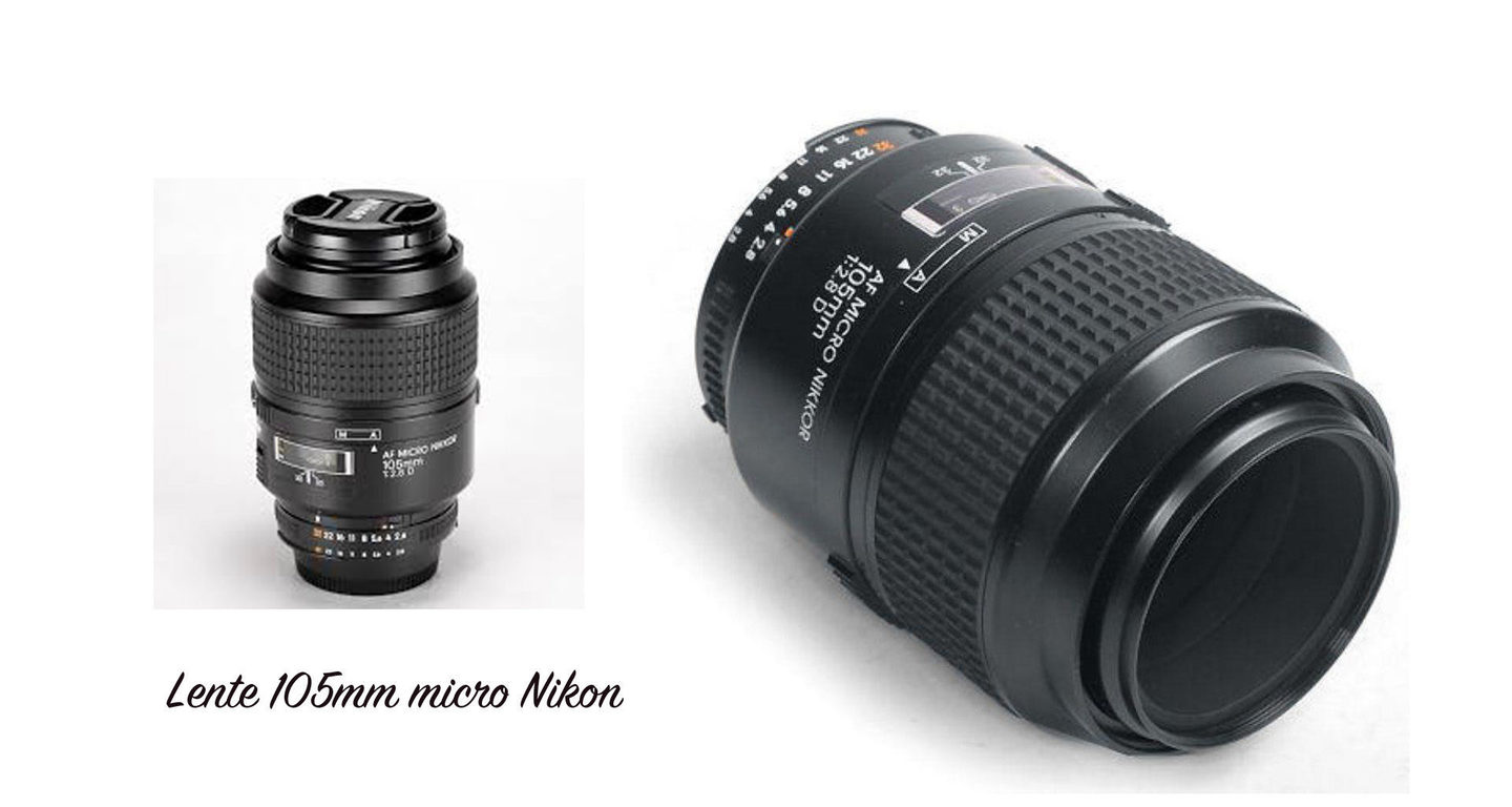 Lente 105mm Nikon Lente 105mm Nikon