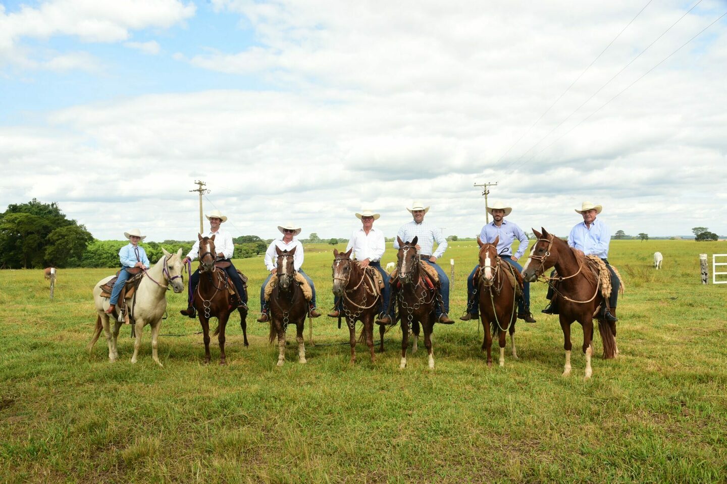 Book 15 anos Bela Country
