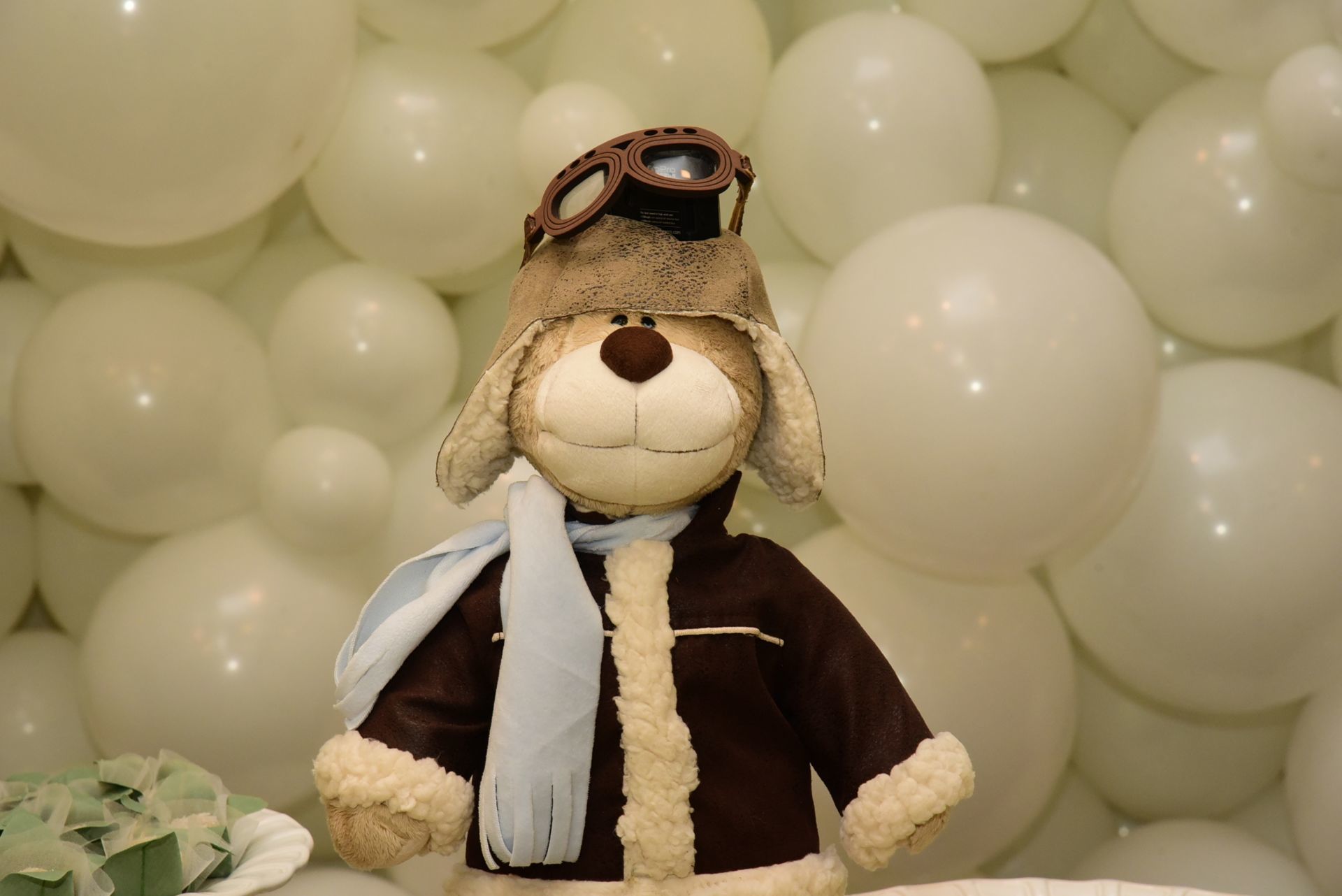 Foto Usando Go Pro como OverDelivery - Imagem 6