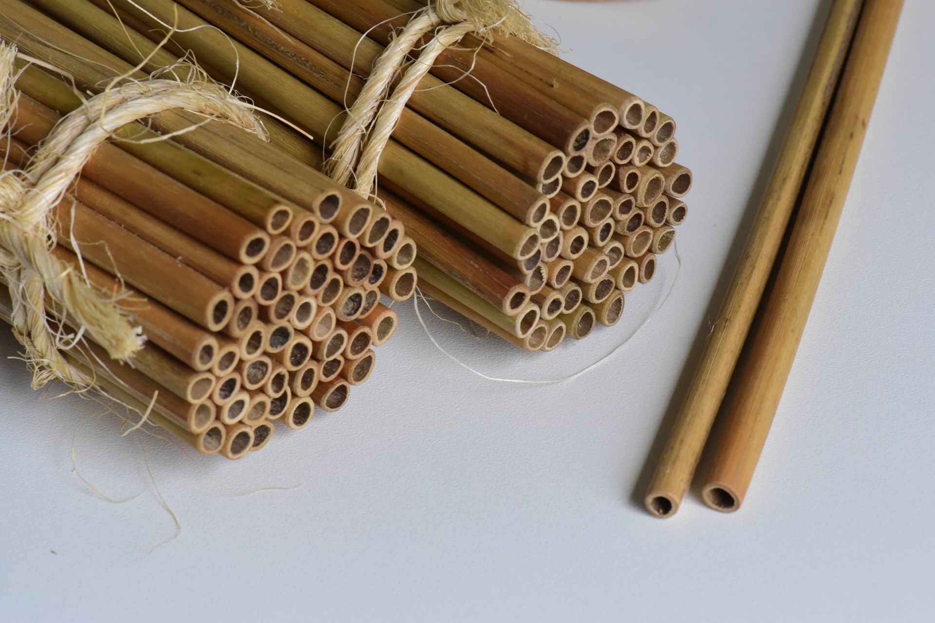 Foto Escova de dente de bambu Rio Preto - Imagem 0