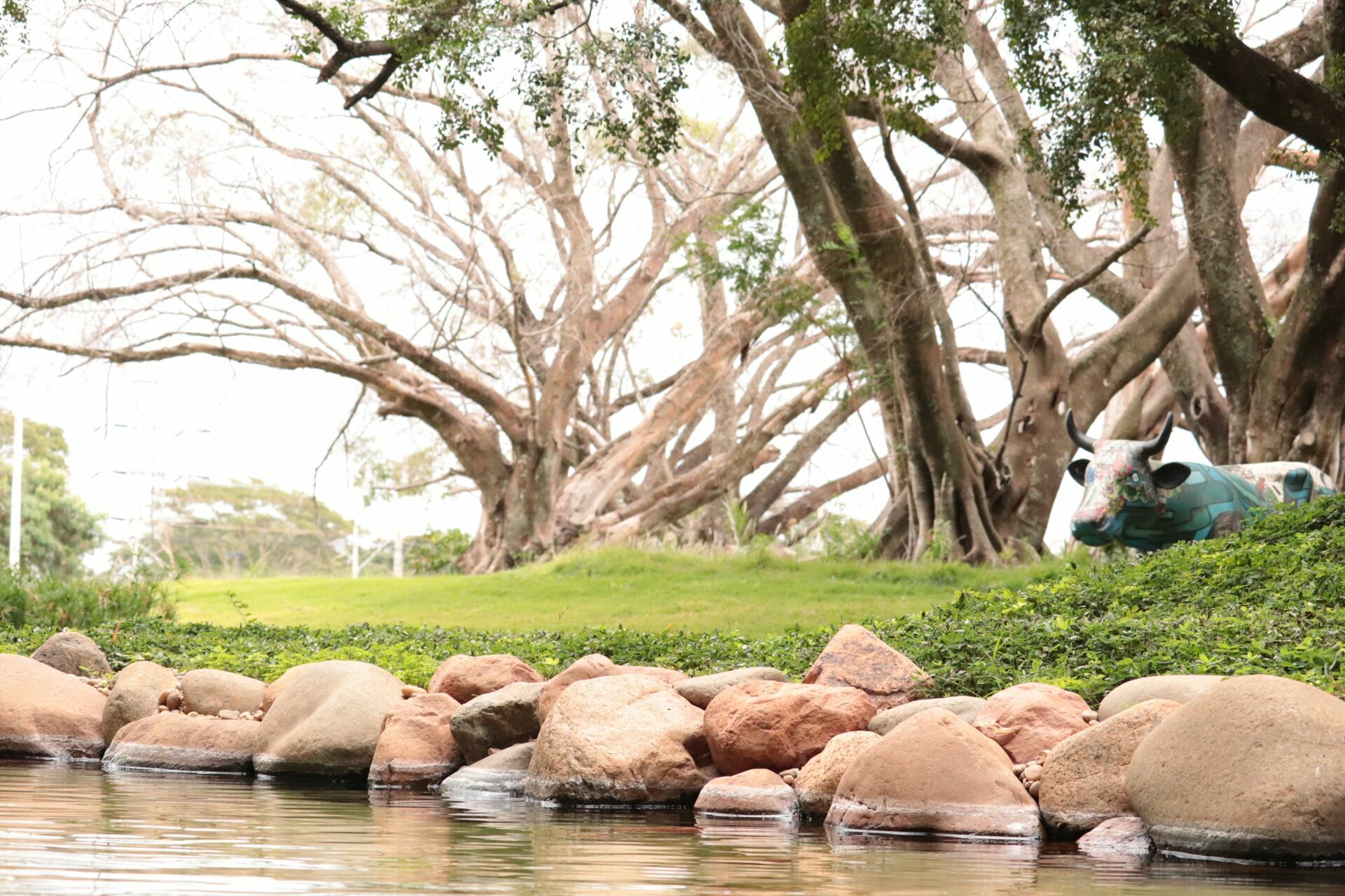 Foto Sala para Alugar Georgina Business Park - Imagem 0